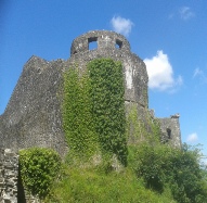 Castell Dinefwr