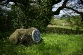 Memorial of the Pwll Melyn battle