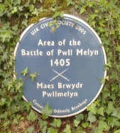 Brwydr Pwll Melyn